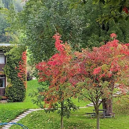 Parkblick - Entspannung Pur!