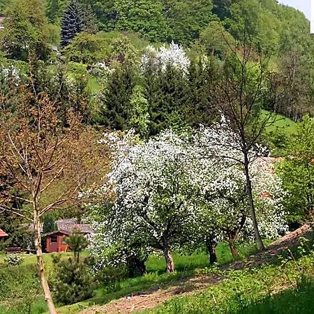 Parkblick - Entspannung Pur! * Ober-Hambach